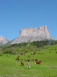 Le Mont Aiguille